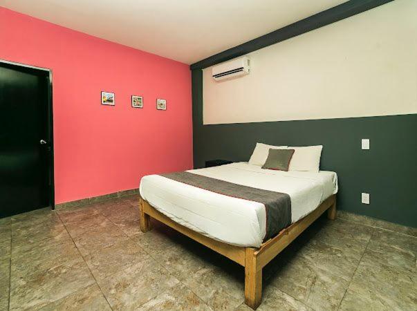 Adhoc Plaza Hotel Monterrey Bagian luar foto