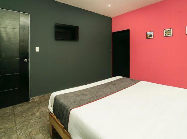 Adhoc Plaza Hotel Monterrey Bagian luar foto